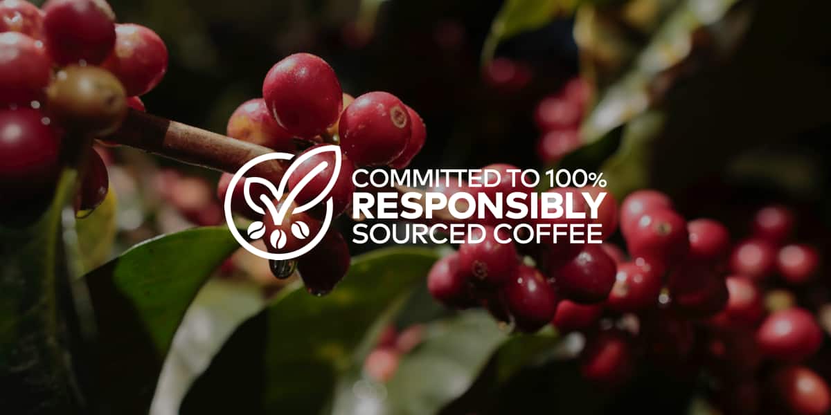 bg-desktop-sustainability-hero-new.png